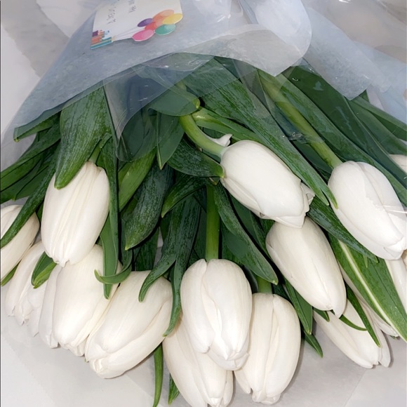 Meet your Posher, Lily - Picture 1 of 1